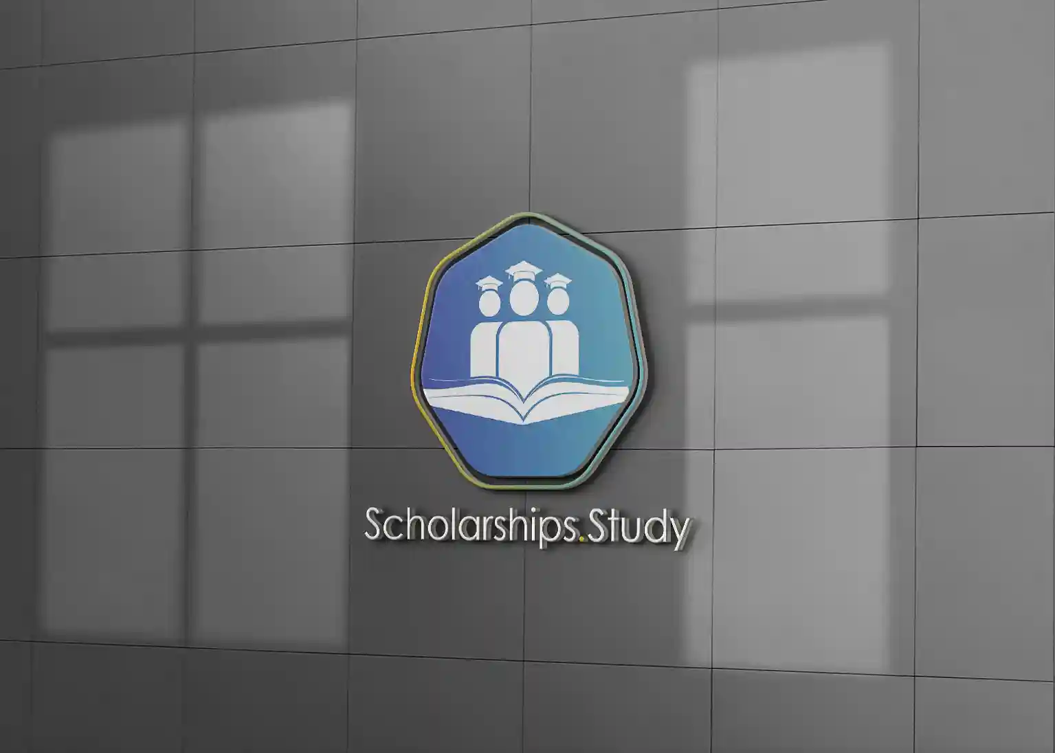 Scholarships Study